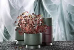 Rosendahl Blomkruka, 15 cm, grön