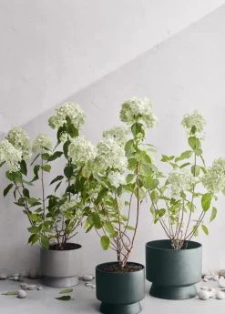 Rosendahl Blomkruka, 24 cm, sand