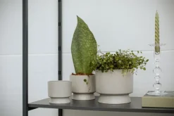 Rosendahl Blomkruka, 12 cm, sand