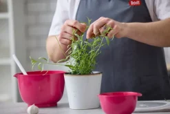 Rosti Margrethe bunke 3 l, rödbeta