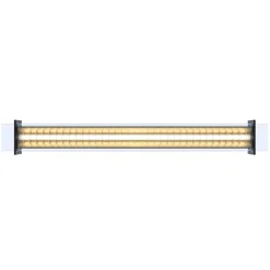 Sammode Quadratube P2 pendellampa, 1300 mm, champagne