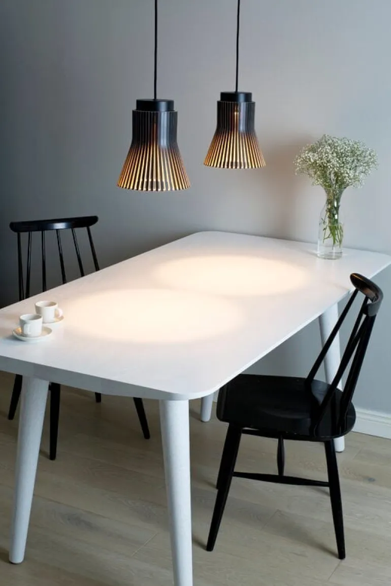 Secto Design Petite 4600 pendellampa, svart