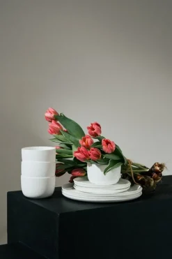 Serax Base, tallriksset, vitt, 12 delar