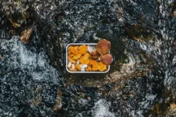 SIGG SIGG Metal Box Plus, S, aluminium