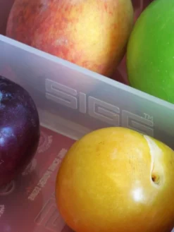 SIGG SIGG Metal Box Plus, S, aluminium