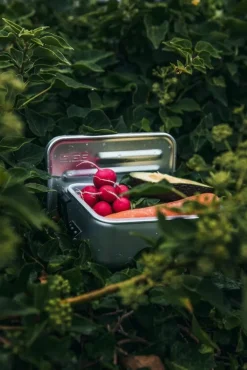 SIGG SIGG Metal Box Plus, S, aluminium