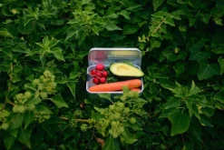 SIGG SIGG Metal Box Plus, L, aluminium