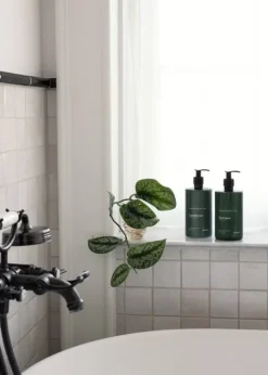 Skandinavisk Shampoo, SKOG, 500 ml