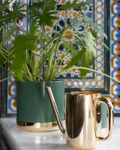 Skultuna Nurture vattenkanna, mässing