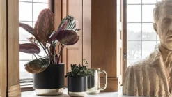 Skultuna Nurture vattenkanna, mässing