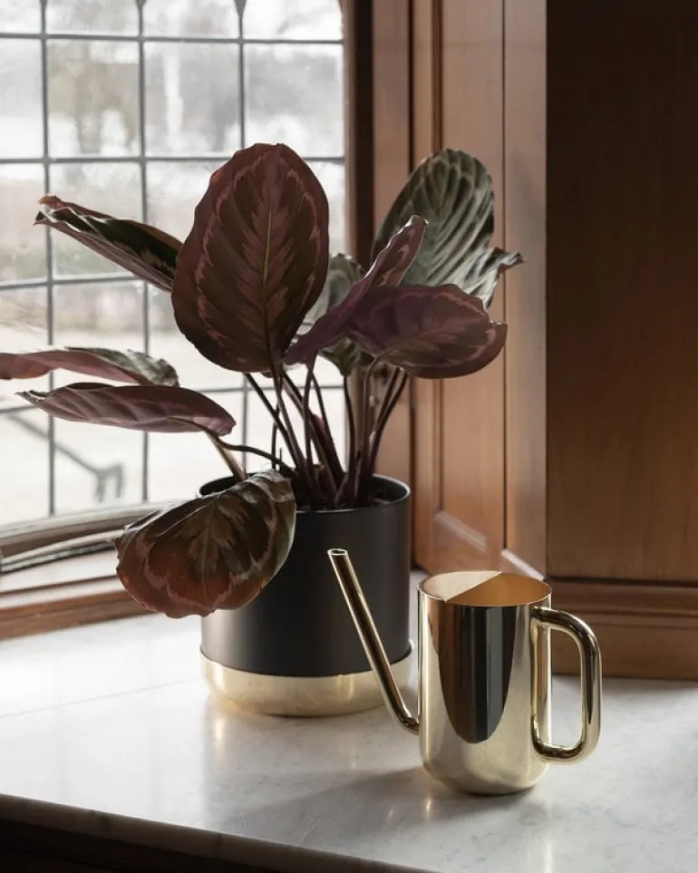 Skultuna Nurture vattenkanna, mässing