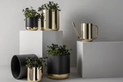 Skultuna Nurture vattenkanna, mässing