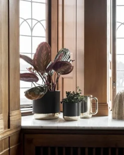 Skultuna Nurture vattenkanna, mässing