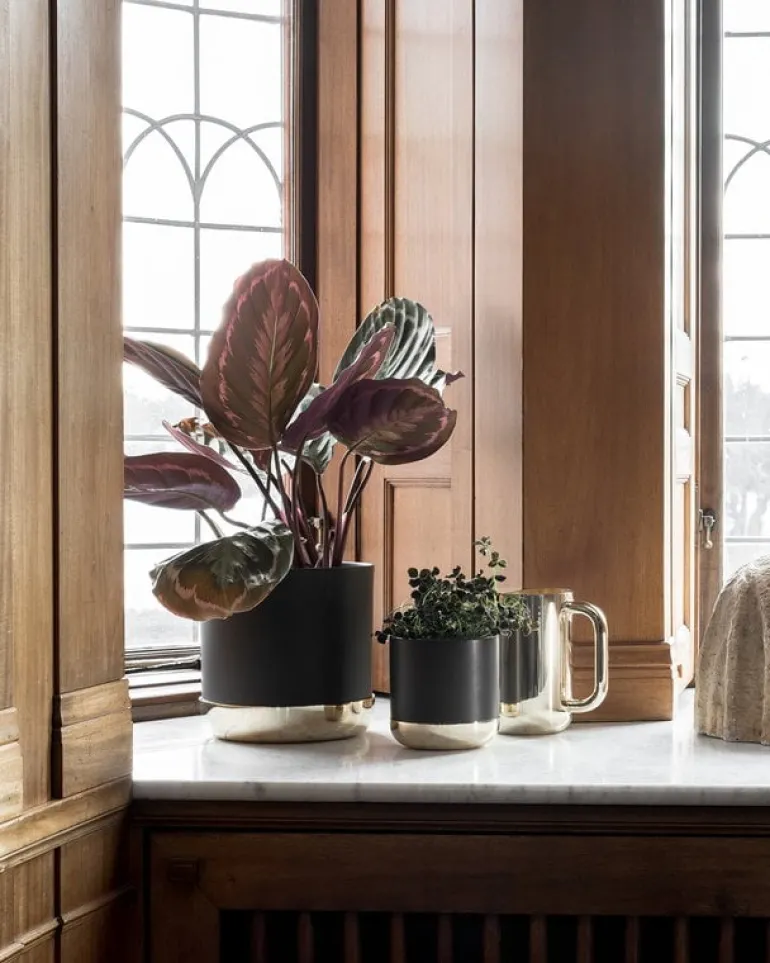 Skultuna Nurture vattenkanna, mässing