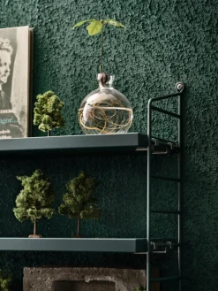 String Furniture String Pocket hylla, Tegnergrön