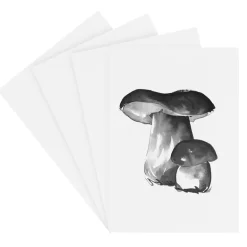 Teemu Järvi Illustrations Wild Mushroom set med miniposters, 4 st