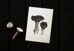 Teemu Järvi Illustrations Wild Mushroom set med miniposters, 4 st