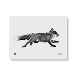 Teemu Järvi Illustrations Adventurous Fox poster, 40 x 30 cm