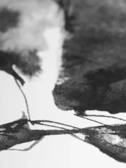 Teemu Järvi Illustrations Hare poster, 40 x 30 cm