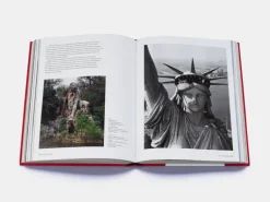 Thames & Hudson Shaping the World: Sculpture from Prehistory to Now