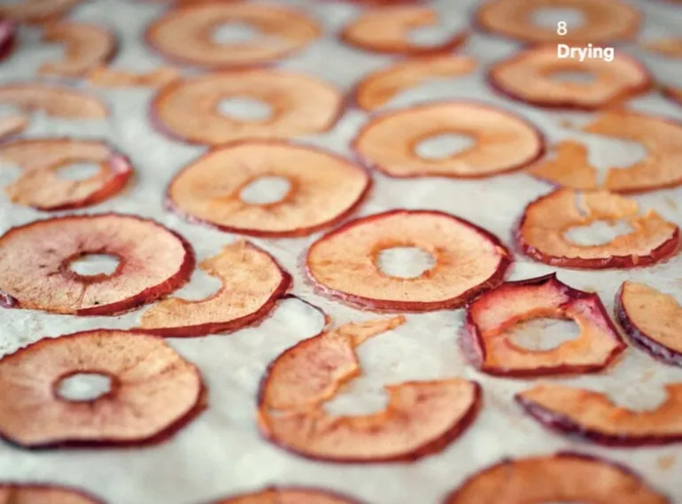 The Do Book Co Do Preserve - Gör dina egna sylter, chutneys, inläggningar och s