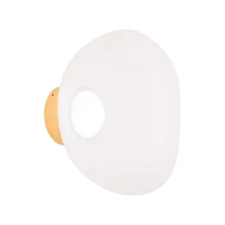 Tom Dixon Melt Surface Mini LED vägglampa, opal - guld