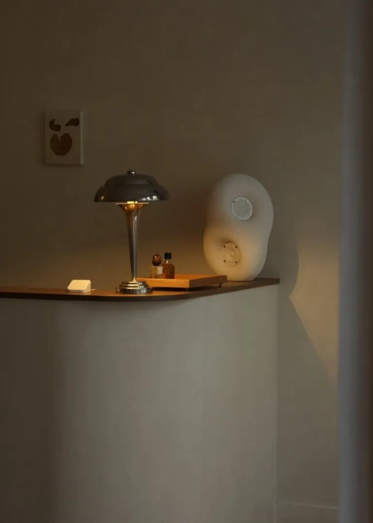 Transparent Acoustic Sculpture, vit