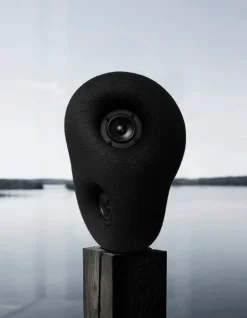 Transparent Acoustic Sculpture, svart