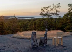 Vaarnii 001 matstol, furu