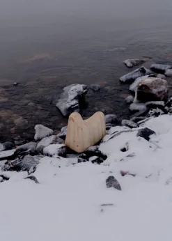 Vaarnii 014 Norppa gungdjur, tall