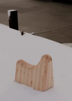 Vaarnii 014 Norppa gungdjur, tall