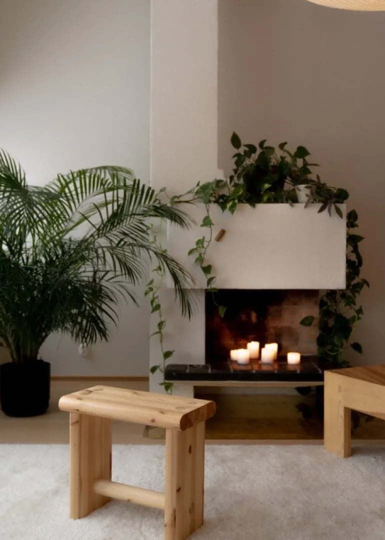 Vaarnii Ast 003 pall, furu