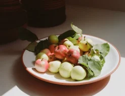 Vaidava Ceramics Earth mittskål, 39 cm, vit