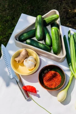 Vaidava Ceramics Earth skål 0,2 L, set om 3 + bricka, mossgrön