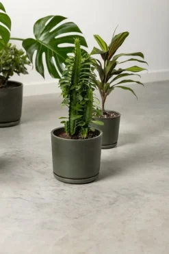 Vaidava Ceramics Moss blomkruka med fat, M, mossgrön