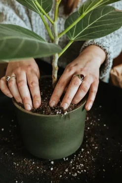 Vaidava Ceramics Moss blomkruka med fat, M, mossgrön