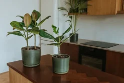 Vaidava Ceramics Moss blomkruka med fat, L, mossgrön