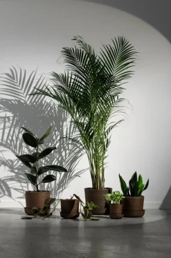 Vaidava Ceramics Soil kruka med fat, XXL, brun