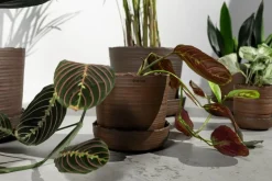 Vaidava Ceramics Soil kruka med fat, XXL, brun