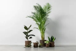 Vaidava Ceramics Soil kruka med fat, L, brun