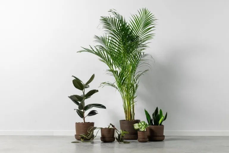 Vaidava Ceramics Soil kruka med fat, L, brun