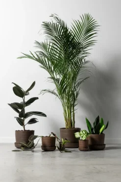 Vaidava Ceramics Soil kruka med fat, L, brun