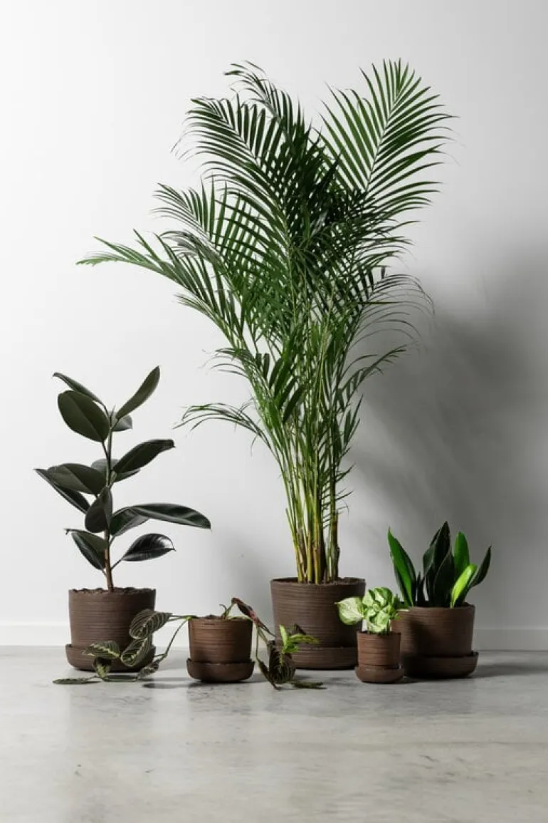 Vaidava Ceramics Soil kruka med fat, L, brun