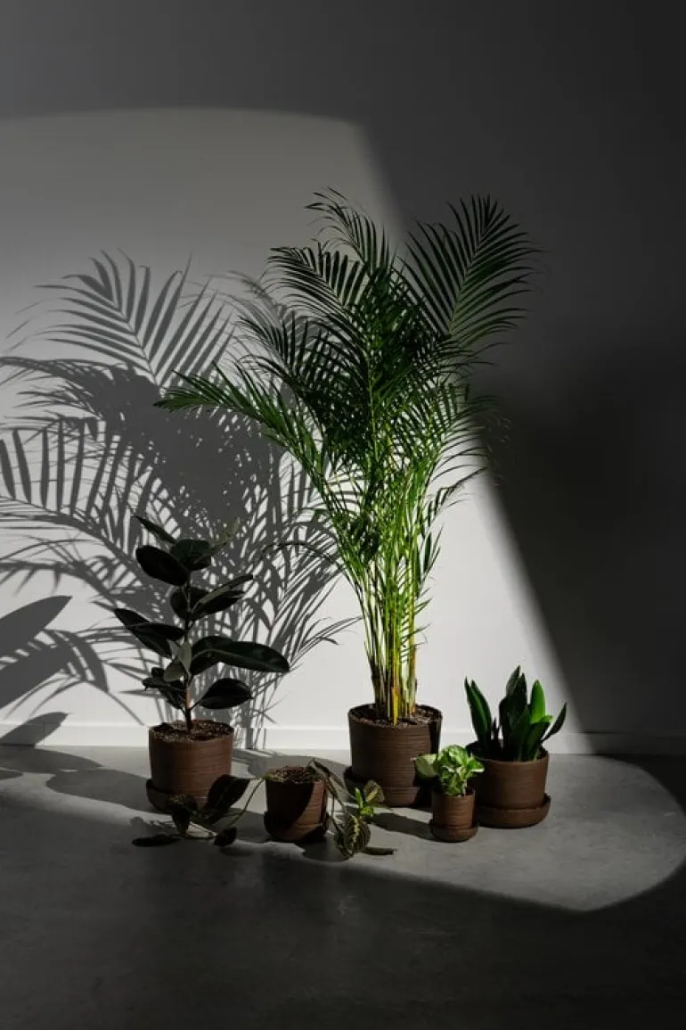 Vaidava Ceramics Soil kruka med fat, L, brun