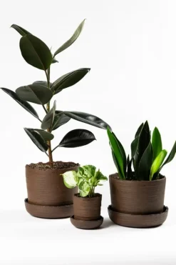 Vaidava Ceramics Soil kruka med fat; S, brun