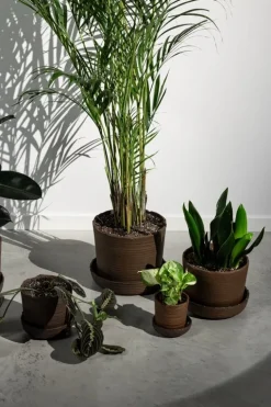 Vaidava Ceramics Soil kruka med fat; S, brun