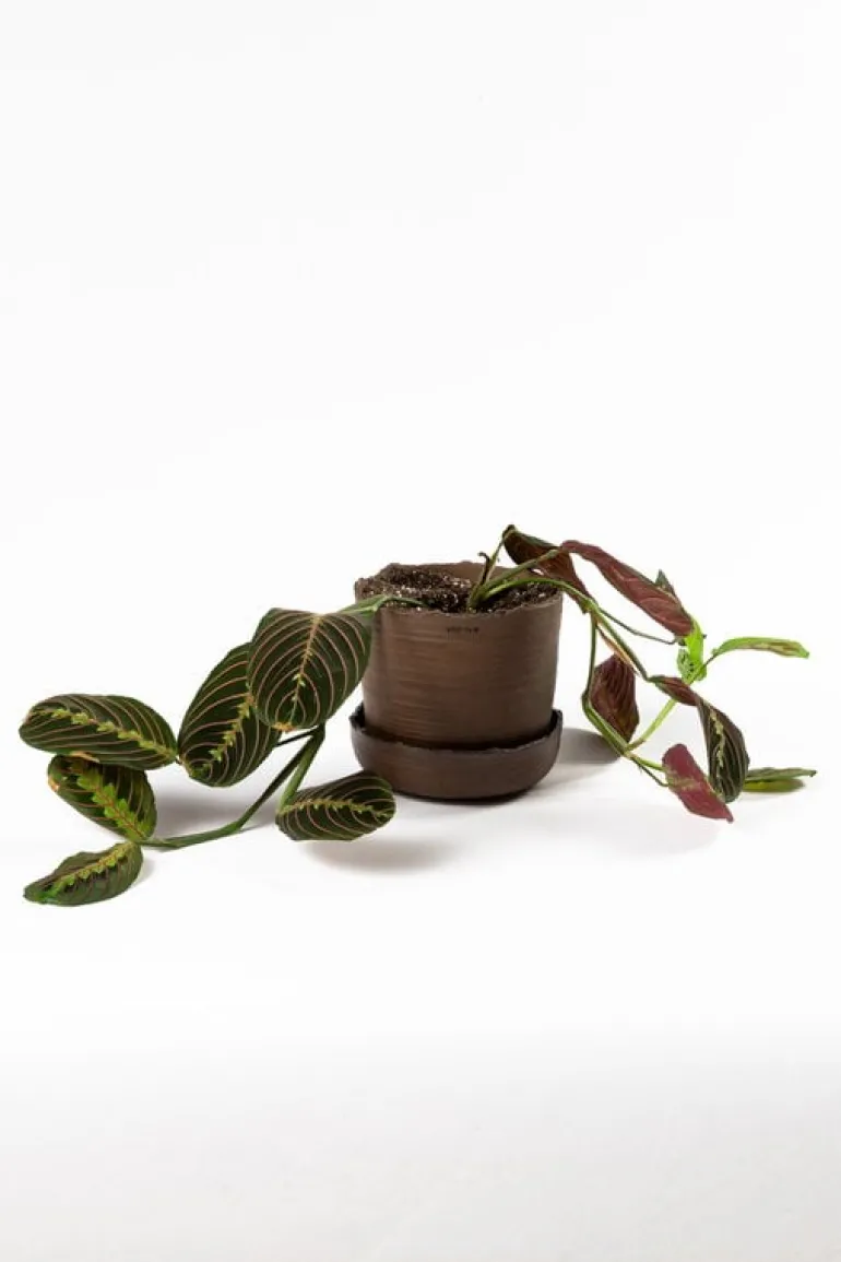 Vaidava Ceramics Soil kruka med fat, M, brun