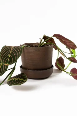 Vaidava Ceramics Soil kruka med fat, M, brun