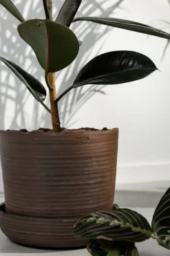 Vaidava Ceramics Soil kruka med fat, XL, brun