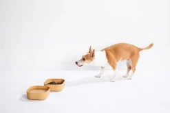 Venandi Design Pet Bowl, kolsvart